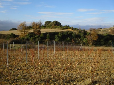 Pangua, Alto (623 m)