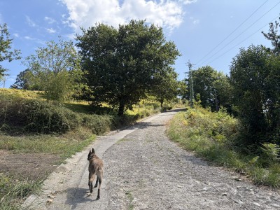 Muntegigana (262 m)
