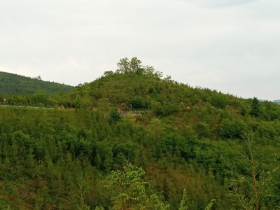 Bertutesorogaña (273 m)