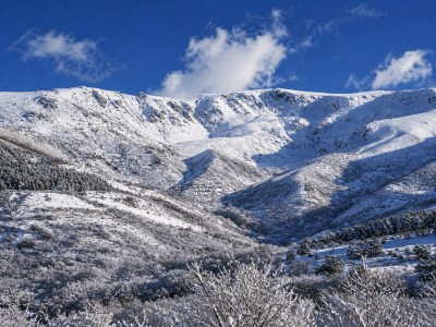 Canchal de la Ceja (2428 m)