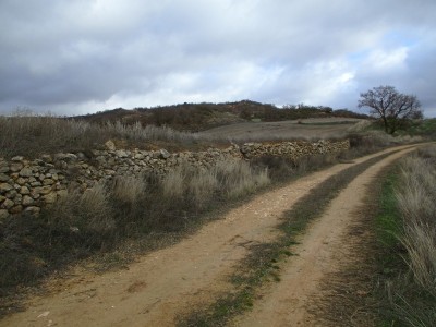 Peñas Blancas, Alto (1034 m)