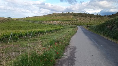 Cerrillo, El (473 m)