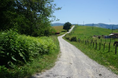 Olasur (122 m)