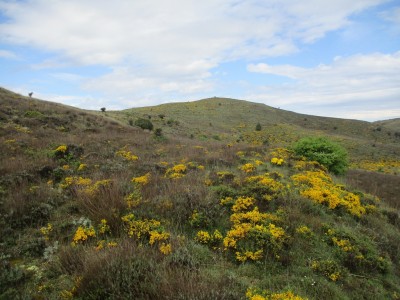 Cañada, Alto de la (1331 m)