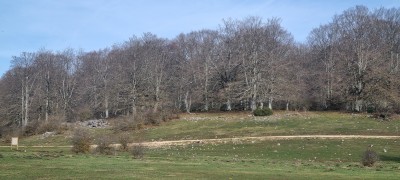 Alto Mampelobaso (1033 m)