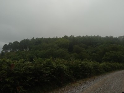 Arrangoa (274 m)