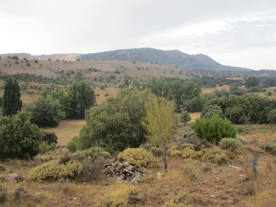 Llanillas, Las (1099 m)