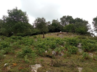 Atsoagureta (354 m)