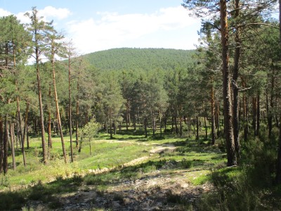 Cabeza Gorda (1251 m)