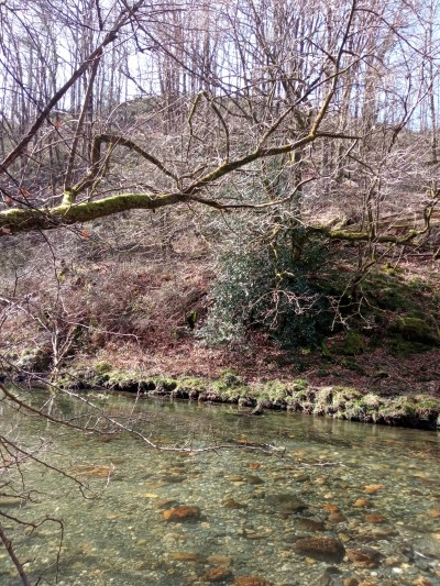 Iraurgitxikiko Makoa (208 m)