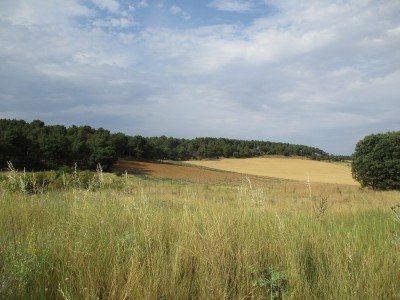 Reloj, Alto del (996 m)