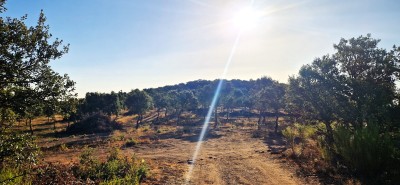 El Rinconcillo, Alto de (1185 m)
