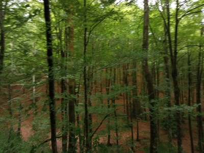 Marumendi Iparra (799 m)