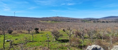 Peña Pozatos (1148 m)