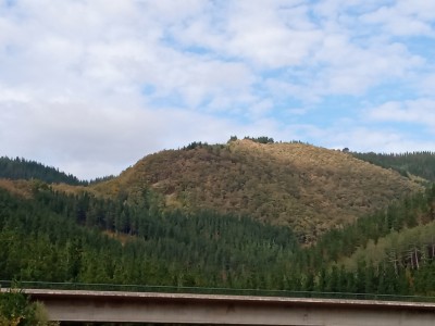 Zelaizarretagaña (545 m)