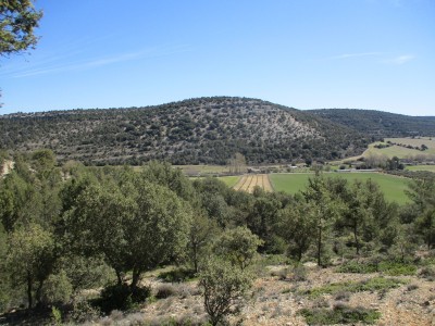 Pico el Zarzo (1269 m)