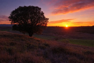 Guardia, Cabeza la (449 m)