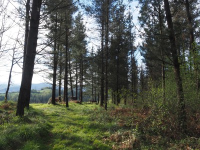 Motea (329 m)