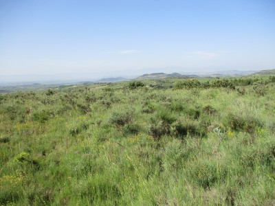 La Cruz (568 m)