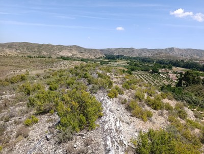 Torrejón (642 m)