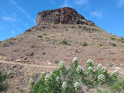 Puntón de la Cochina (492 m)