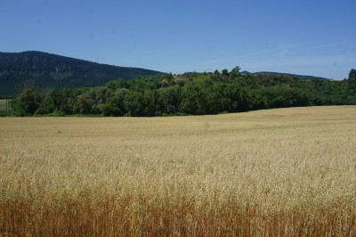 Iturrotz (501 m)