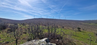 Pico Ladrón (1169 m)