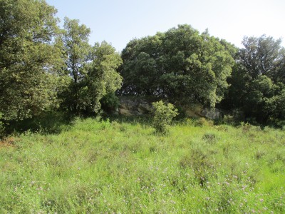 Los Campos (505 m)