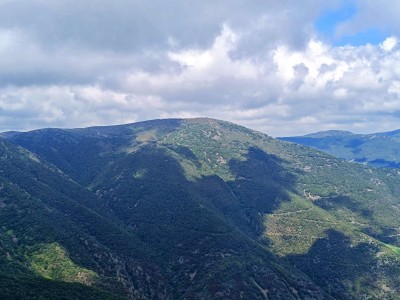 Puig Drau (1345 m)