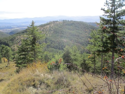 Caselas, Alto las (831 m)