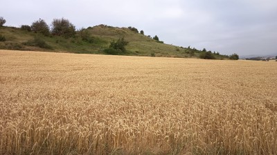 Mendizorro (635 m)