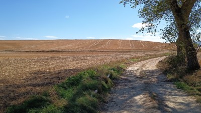 Borindelu (609 m)