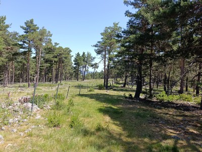 Pedro Herrero, Cerro de (1836 m)