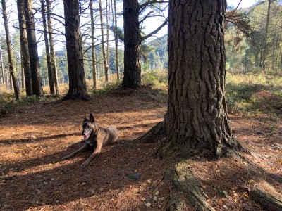 Egurluzegana (457 m)