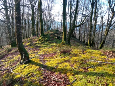 Elkieta Goikoa (381 m)