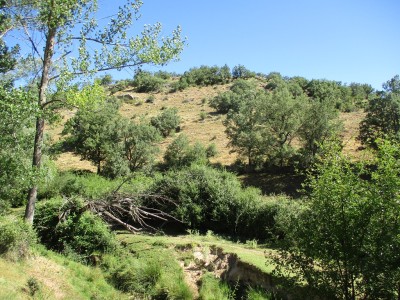 Rabaneras, Alto de las (1101 m)