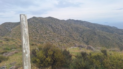 Cabezo del Gandul (241 m)