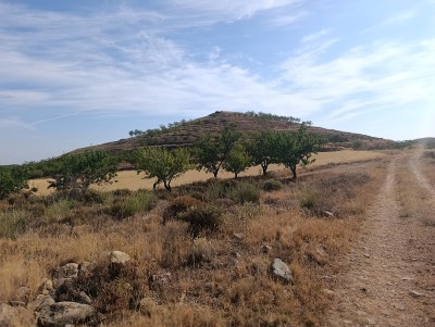Tejera, La (848 m)