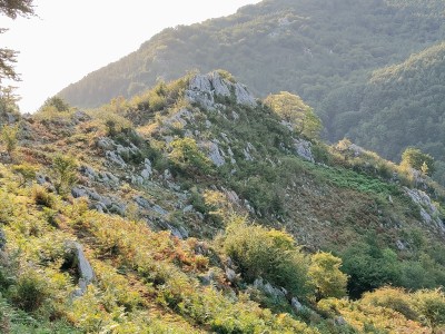 Beraitz (497 m)