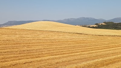 Peñas, Las (529 m)