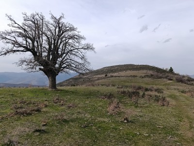 Cera, Alto de la (1251 m)