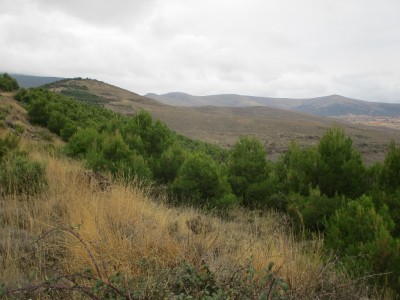 Cerradilla, Alto de la (1176 m)