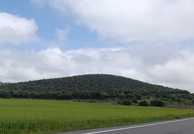 Muela, La (877 m)