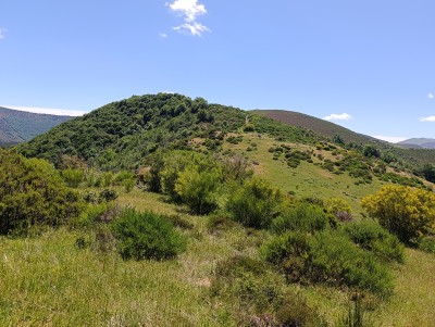 Salchichurri, Cabeza (1461 m)