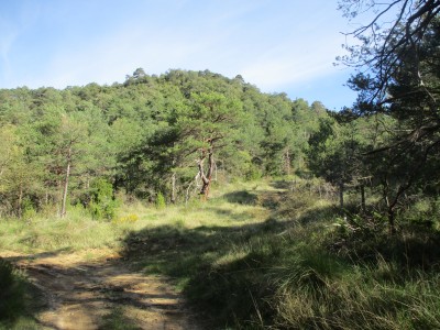 Revillalta (724 m)