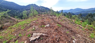 Los Cuetos W (182 m)
