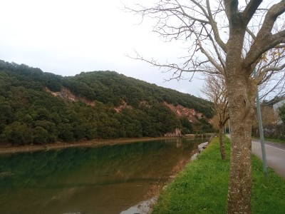 Floresko Mendia (77 m)