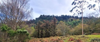 Peña Cierro (515 m)