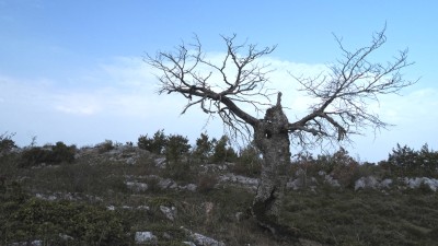 Kajuelostxiki (1102 m)