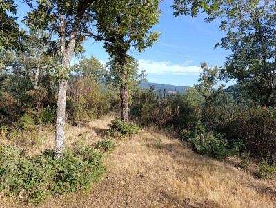 Amarilla, Peña (1081 m)